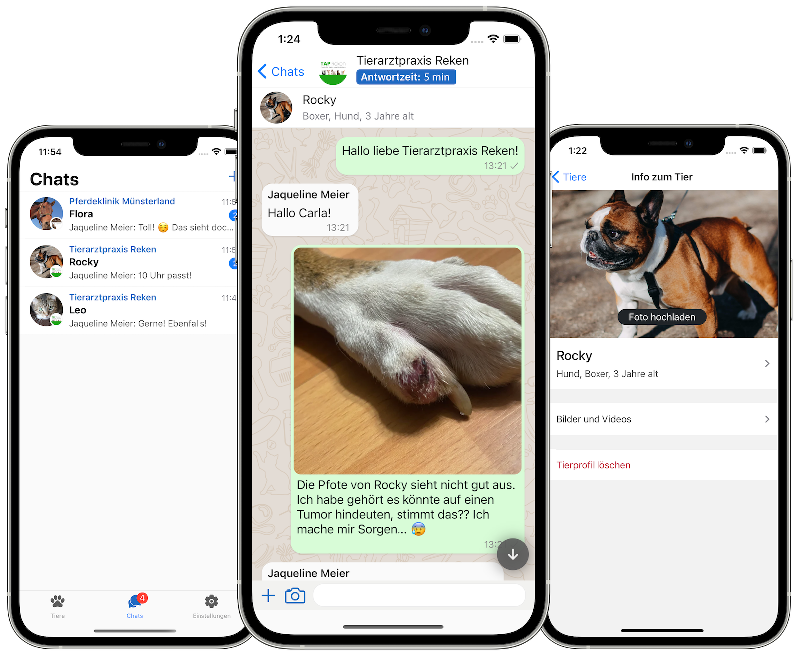 AnimalChat app preview with light theme